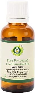 Bay Laurel Leaf Essential Oil | Laurus Nobilis | Bay Laurel Essential Oil | 100% Pure Natural | Steam Distilled | Therapeutic Grade | 5ml | 0.169oz By R V Essential