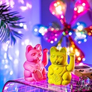 德國 DONKEY 幸運繽紛招財貓 邁阿密之夜-共2色