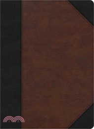CSB Verse-By-Verse Reference Bible, Black/Brown Leathertouch