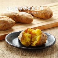 【北灣】家庭號-台農57號冰烤地瓜6包(3kg/包)