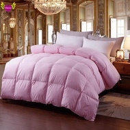 95 Percent White Goose Down Duvet