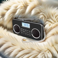 Portable FM Radio Speaker Card 10l-658mp3 Power Bluetooth Outdoor Player Watt New Product Z4VU