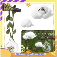 【W】4pcs Jumping Spider Hide Glass Ball Habitat Cloud Platform Ledges Jumping Spider for Decorating J