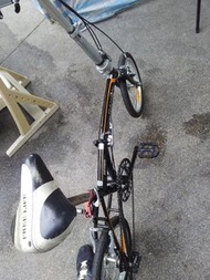 Dahon