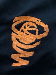 1996 Nike DENNIS RODMAN  shorts 旋風