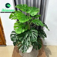 PALINGDICARI DAUN MONSTERA JUMBO DAUN PLASTIK MONSTERA ARTIFISIAL