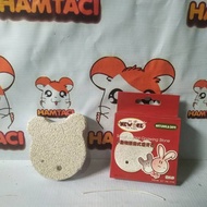Gnawing stone Hamster bite