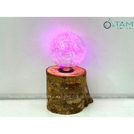 [Strong - Medium light] Pink firefly Led light bulb G95 - 4W BONGDEN-05