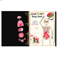 Creative Human Anatomy Busy Book. Creative human anatomy busy book YBC-MY