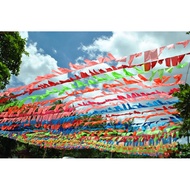 Fiesta Banderitas 10meters Plastic charol