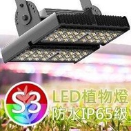 防水型LED植物燈【S3光譜】台灣製㊣VITALUX【＊全光譜 多波段 植物栽培燈 植物生長燈 觀葉植物 蕨類】