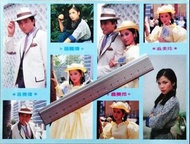 螢幕偶像 （84年無線電視劇楚留香蝙蝠傳奇） 翁美玲 苗僑偉 早期明星偶像 貼紙1張