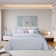 JUBILY ชุดผ้าปูที่นอน 6 ฟุต KING (Set 3 ชิ้น) - BONNIE COLLECTION 460 Series