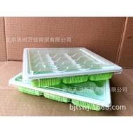 Full Box600Disposable Set15Grid Dumplings Box Dumpling Tray Dumpling Box with Lid 15 Grid