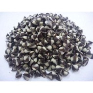 Twin Chocolate Chip (White Chocolate & Chocolate)