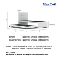 MAXCOIL Juni Pull Out Bed + Elatex 7.5" Natural Latex Foam Mattress + Back Essential™ Revive 12.5" Mattress