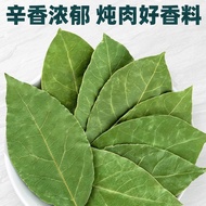 Fragrant Leaves Bulk Dry Spices Commercial Whole Piece Bay Leaves Big Seasoning Big Encyclopedia Geo