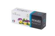 法國VÉRITABLE®專用ORGANIC PANSY LINGOT®三色堇