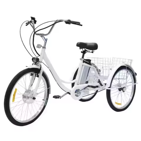 E-bicycle Electric Cargo Bike Adults Seniors 250W36V12AH Removable Lithium Battery 3-wheel Elderly L