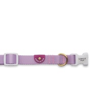 Dog Collar ( Light collection ) ปลอกคอสุนัข ปลอกคอหมา