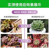 t8Succulent Fill Light Tube Plant Growth LampledLamp Full Spectrum Flower Seedling Color Enhancement Imitation Overlong