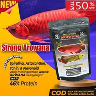 Borong Cash On Delivery Pelet Ikan Arowana Arwana Red Arwana Golden