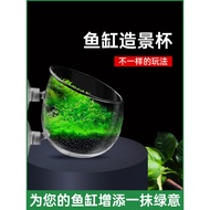 Aquarium Hydroponic Plant Fixing Rack Anemone Cup Anemone Nest Nipple Cup Aquatic Plant Planting Lan