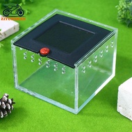 ziyunshan Pet Spider Box Reptile Crawling Pet Feeding Lizard Silkworm Baby Scorpion Beetle Insect Pe