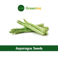 Asparagus Seeds (芦笋) Vegetable Seeds from SG