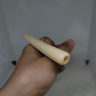 Once pipa cangklong tulang gajah model blimbing matahari profil kristal