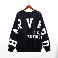 Harvard Sweater Crewneck Oversize Realpict