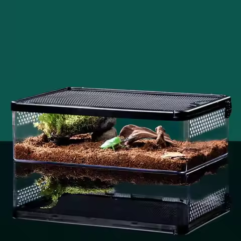 Transparent Reptile Pet Breeding Box Crawling Pet Feeding Box Lizard Silkworm Scorpion Beetle Insect