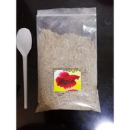 makanan kutu air daphnia magna padu