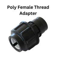 HDPE Female Thread Adapter FTA, PP Poly Water Connection Fitting Poly Pipe 20mm 25mm 32mm