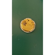 Citizen 8200 Watch Movement for students