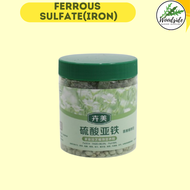 Woodside Iron Sulfate/Ferrous Sulfate FeSO4 7H20 Prevents yellowing of leaves and adjust PH Water So