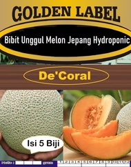 Bibit Unggul Melon Jepang Hydroponic | Benih Melon Jepang Hydroponic