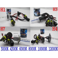H1/H3/H4/H7/H8/H9/H11/D2S/D2H/9006/HB4/880/881/889 HID Bulb Lamp Lampu LED Kereta Lampu Kereta
