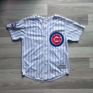 CUBS Team Baseball Jersey No.17