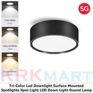 Tri-Color Led Downlight Surface Mounted Spotlights Spot Light Downlights Ceiling Pin Light Bedroom Lights Indoor Lamp