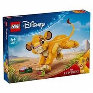 Building Blocks Duplo 43243 Children Building Blocks Set
