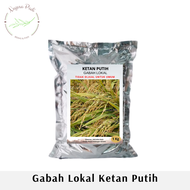 Ketan Putih Lokal Gabah 1 Kg