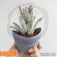 YuanBao-S元宝盆 v1 [Small-8.8x6.4x6cm], (3DPrinted)Garden lab Pot , New Year Flower Pot, Succulent Pot,