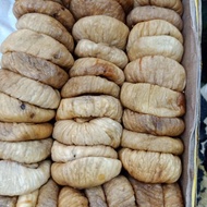 Buah tin jumbo / besar