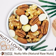 [NEW IMPROVED] 500Gram Nutty Lover Premium Nutty Mix - Natural & Roasted Nuts