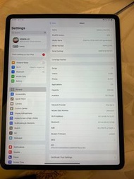 IPad Pro 12.9 256GB with sim, (4th gen)