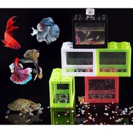 🔥Ready Stock🔥Small Aquarium Mini Lego Block Tank Betta, Guppy Tank Building Block Ant Tank Bekas Ika