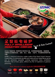 IZONIC INDUCTION COOKER IZ999YL