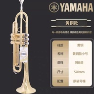 雅馬哈調初學B考級4335S樂器YTR-YAMAHA小號降鍍銀演奏