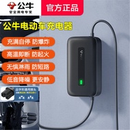 Bull Electric Car Storage Battery Charger 60 V72 V Aimayadi TAILG Lead-Acid Battery Neutral Automatic Power off